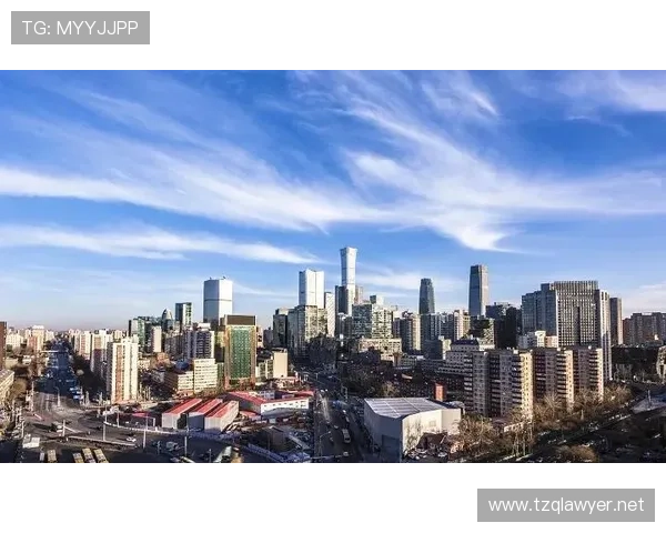 探寻国寿企业家成长之路的创新发展与时代使命实践路径思考深度解析